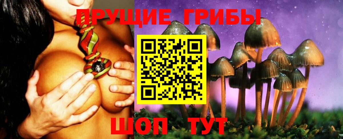 Фролово  где найти   Вход с VPN  Псилоцибиновые грибы мицелий 